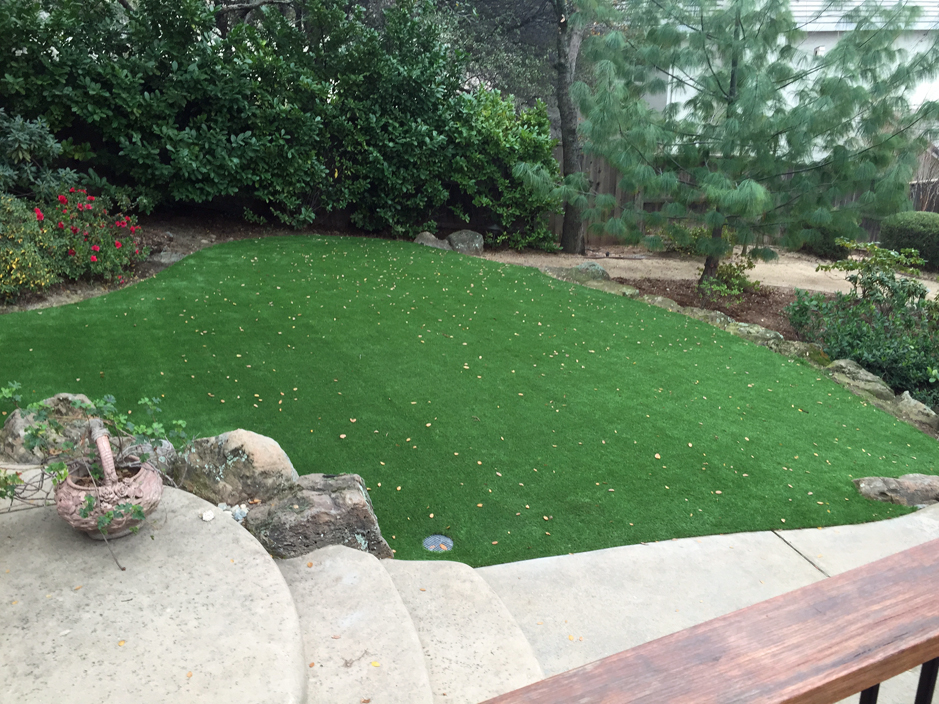 Faux Grass Avondale Arizona City Landscape Small Backyard Ideas