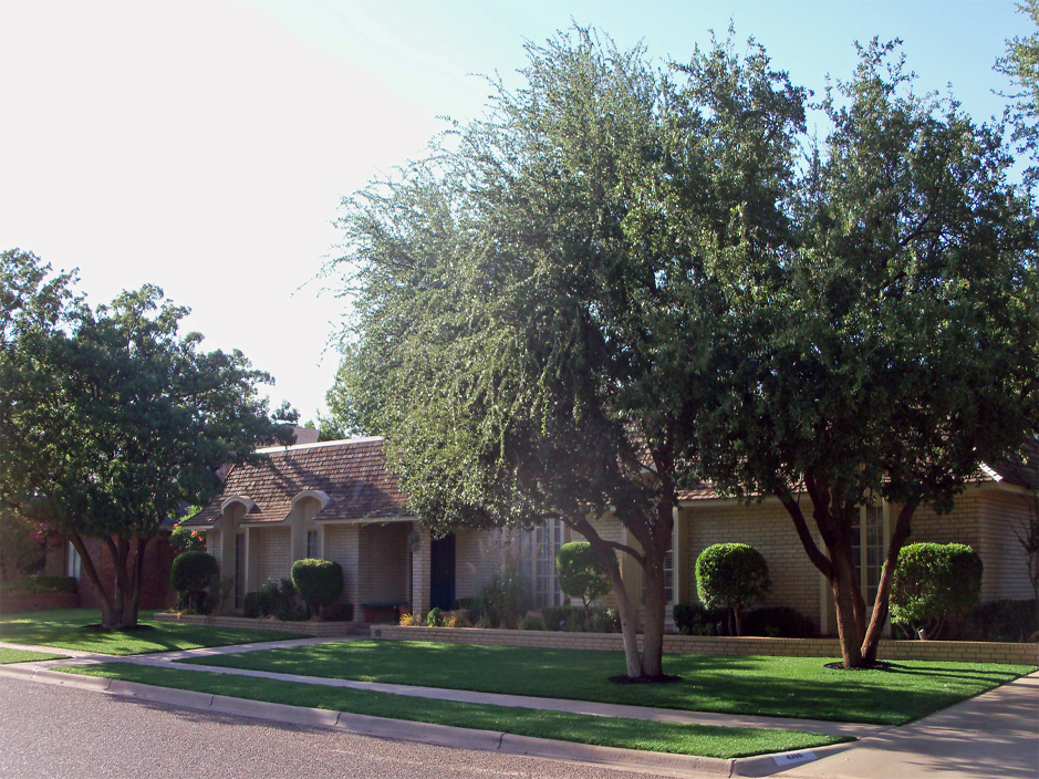 Installing Artificial Grass Shonto, Arizona Lawn And Garden, Small Front Yard Landscaping