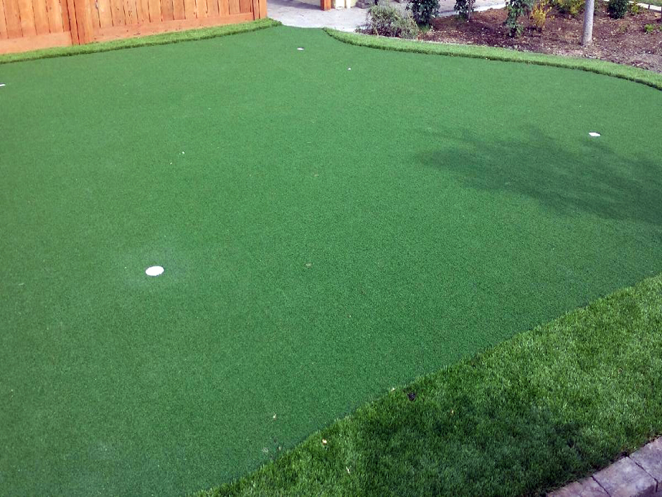 Outdoor Carpet Mammoth, Arizona Landscape Ideas