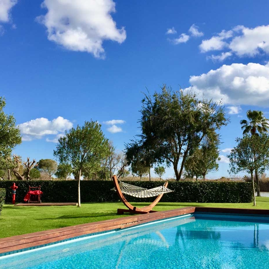 Artificial Grass Cost in Arizona How Much?