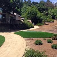 Artificial Grass Carpet Bowie, Arizona Landscape Photos, Front Yard Landscaping