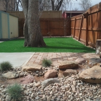 Artificial Grass Citrus Park, Arizona Garden Ideas, Backyard