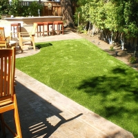 Artificial Grass Nelson, Arizona Dogs, Backyards