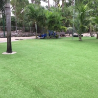 Artificial Lawn Eloy, Arizona Landscape Ideas, Commercial Landscape