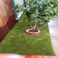 Artificial Lawn LeChee, Arizona Pet Grass, Backyard Designs