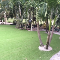 Artificial Lawn Vaiva Vo, Arizona Landscape Design, Commercial Landscape