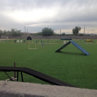 Fake Grass Lupton, Arizona Backyard Sports, Parks