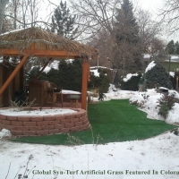 Grass Carpet Gilbert, Arizona Rooftop, Backyard Landscaping Ideas