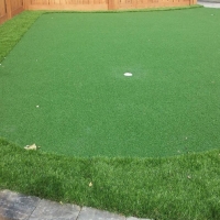 Grass Carpet Patagonia, Arizona Putting Green Grass