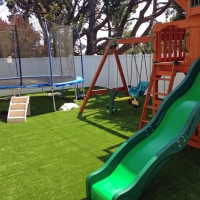 Grass Carpet Round Rock, Arizona Lawn And Garden, Backyard Designs