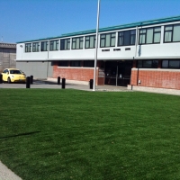 Grass Carpet Superior, Arizona Rooftop, Commercial Landscape