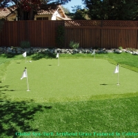 Grass Turf Gila Crossing, Arizona Garden Ideas, Backyard Landscaping