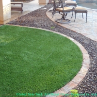 Grass Turf Goodyear, Arizona Dog Running, Front Yard Design