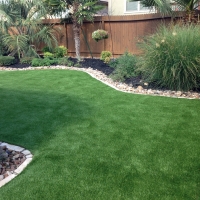 Grass Turf Hotevilla-Bacavi, Arizona Pet Paradise, Backyard Landscaping