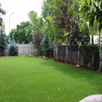 Grass Turf McNeal, Arizona Landscaping Business, Backyard Landscape Ideas