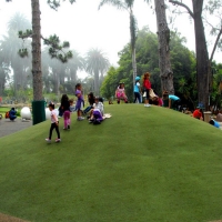 Green Lawn Arivaca Junction, Arizona Lawns, Recreational Areas