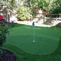 Green Lawn Pinon, Arizona Rooftop, Backyard Landscaping