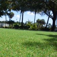 Outdoor Carpet Arlington, Arizona Lawn And Garden, Recreational Areas