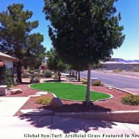 Outdoor Carpet Paradise Valley, Arizona Design Ideas, Landscaping Ideas For Front Yard
