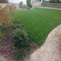 Outdoor Carpet Saint David, Arizona Artificial Turf For Dogs, Beautiful Backyards