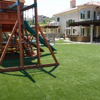 Plastic Grass Marana, Arizona Landscaping Business, Backyard Ideas