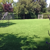 Plastic Grass Sahuarita, Arizona Lawns, Backyards