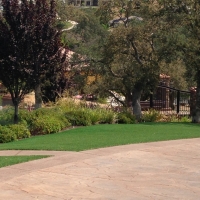 Plastic Grass Tolleson, Arizona City Landscape, Backyard Makeover