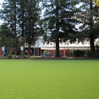 Synthetic Grass Cactus Flat, Arizona Upper Playground, Parks