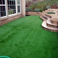 Synthetic Grass Cost Cane Beds, Arizona Roof Top, Backyard Ideas