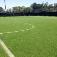 Synthetic Grass Maish Vaya, Arizona Bocce Ball Court