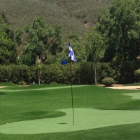 Synthetic Grass Paradise Valley, Arizona Backyard Playground