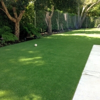 Synthetic Grass Pinal, Arizona Backyard Deck Ideas