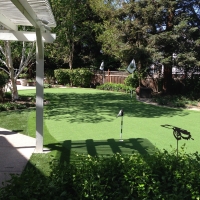 Synthetic Grass Queen Valley, Arizona Roof Top