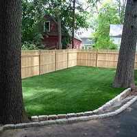 Synthetic Grass Tonalea, Arizona Dog Pound, Backyards