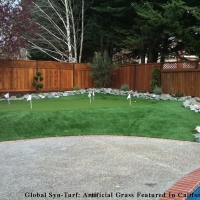 Synthetic Turf Supplier Sun City, Arizona Putting Green Grass, Backyard Ideas