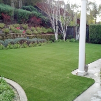 Turf Grass New Kingman-Butler, Arizona Dog Running, Small Backyard Ideas