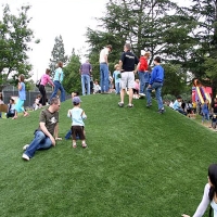 Turf Grass Red Mesa, Arizona Garden Ideas, Parks