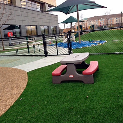 Synthetic Turf Depot in Bryce, Arizona