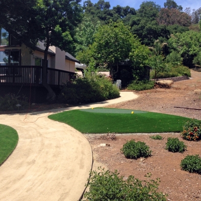 Synthetic Lawns & Putting Greens in Bowie, Arizona