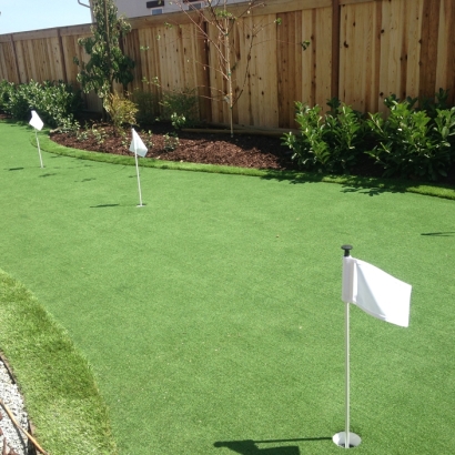 Artificial Grass Carpet Fort Apache, Arizona Diy Putting Green, Small Backyard Ideas