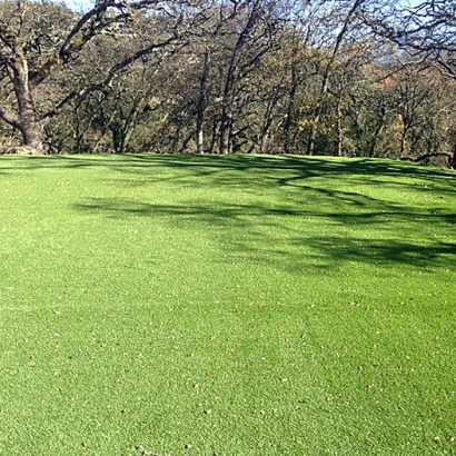 Synthetic Grass in Fredonia, Arizona