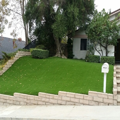 Artificial Turf in Avondale, Arizona