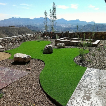 Artificial Turf in Grand Canyon Village, Arizona