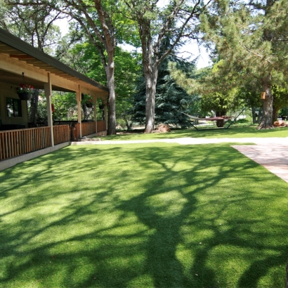 Artificial Turf in Greer, Arizona