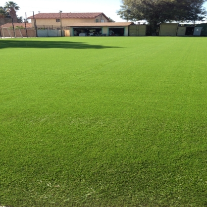 Artificial Turf in Williams, Arizona