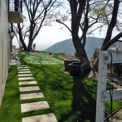 Artificial Grass Carpet Queen Valley, Arizona Outdoor Putting Green, Backyard Landscape Ideas