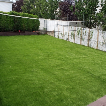 Artificial Grass in Taylor, Arizona