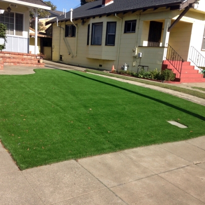 Artificial Turf in Safford, Arizona