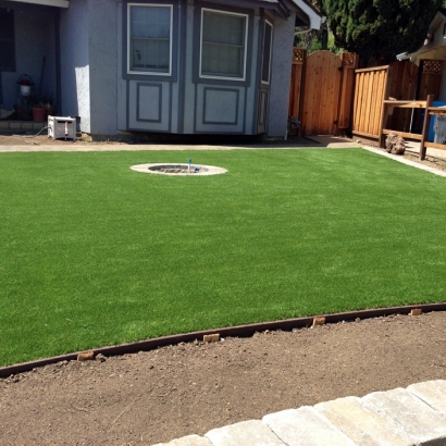 Artificial Grass in Corona de Tucson, Arizona