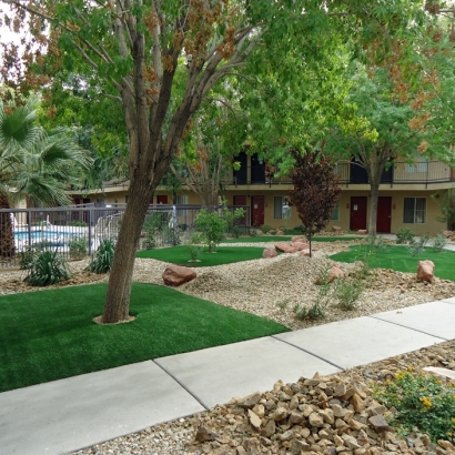 Home Putting Greens & Synthetic Lawn in Springerville, Arizona